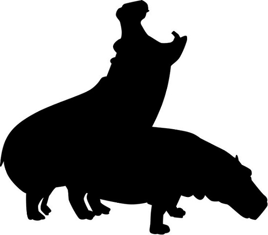 カバが交尾してるシルエット